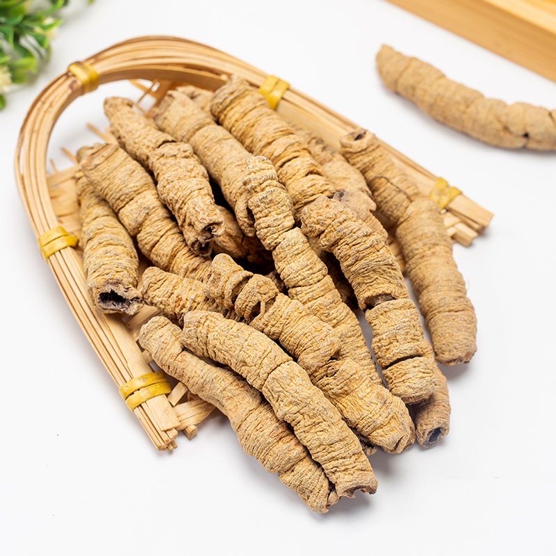 批发巴戟天食品级草药提取物高品质天然干燥巴戟天根粉巴戟天