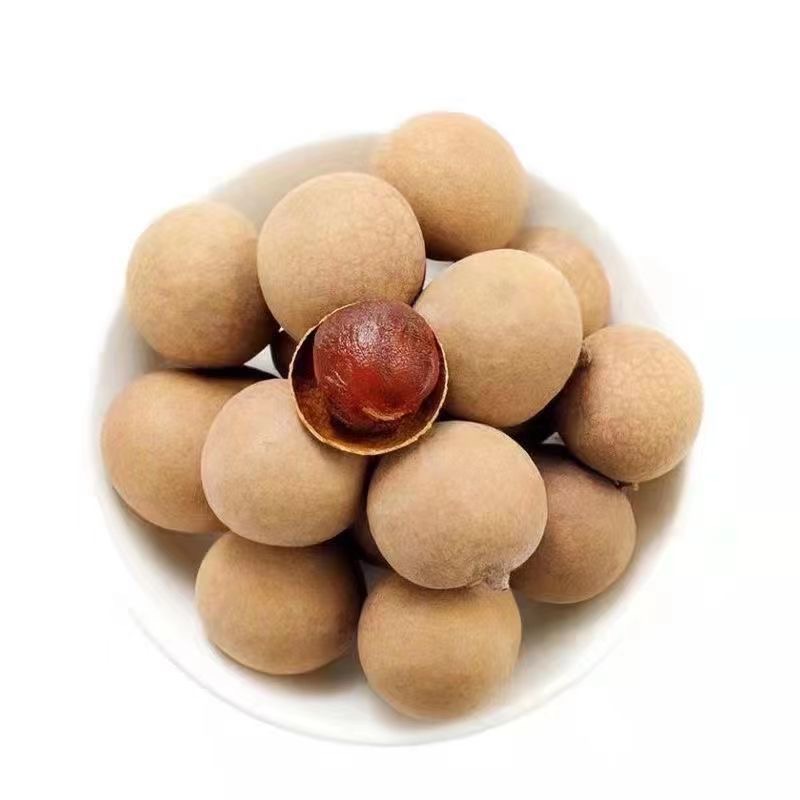 Wholesale Sweet Dried Longan Fruit Powder High Quality Natural Growth Guiyuan In Plastic Container Dried Longan