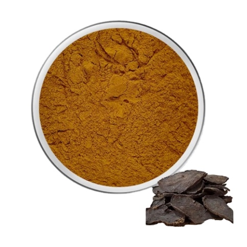Extrait naturel de Polygonum Multiflorum Poudre de He Shou Wu Poudre de Polygonum Multiflorum