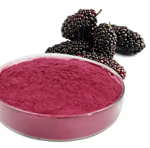 Factory Supply Natural Mulberry Fruit Extract High Quality Food Grade Mulberry Fruit Powder Vacuum Packed Bottle