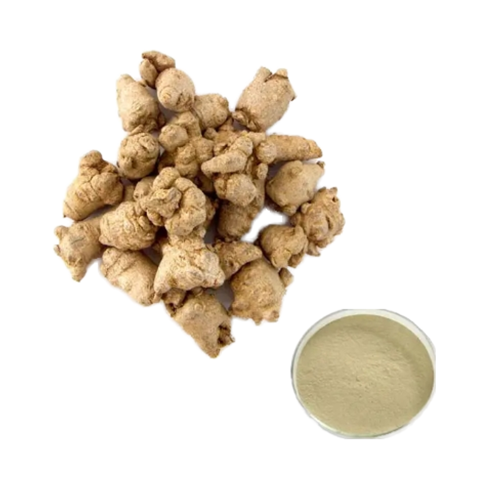 High Quality Tian Qi Extract Traditional Chinese Herb Sanqi Root Extract Powder Hemostatic Sanqi Powder