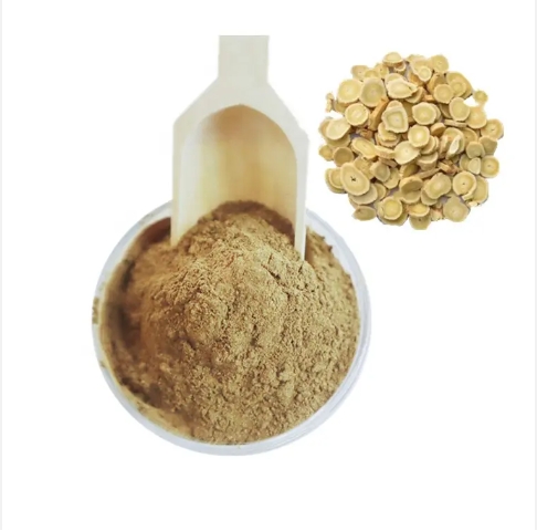 Factory Wholesale Astragalus Root Extract Chinese Traditional Herb Extract Astragalus Root Powder