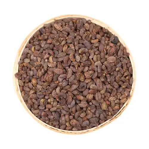 Wholesale Bulk Nv Zhen Zi Health Chinese Herb Fructus Ligustri Lucidi Dried Glossy Privet Fruit Raw And Unprocessed