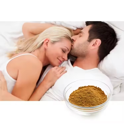 Wholesales Cynomorium Extract High Quality Cynomorium Songaricum Extract Powder For Male Enhancement