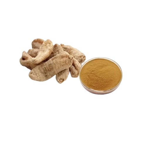 High Quality Natural Rhizoma Gastrodia Extract Powder Food Grade Solvent Extraction Anhui Origin