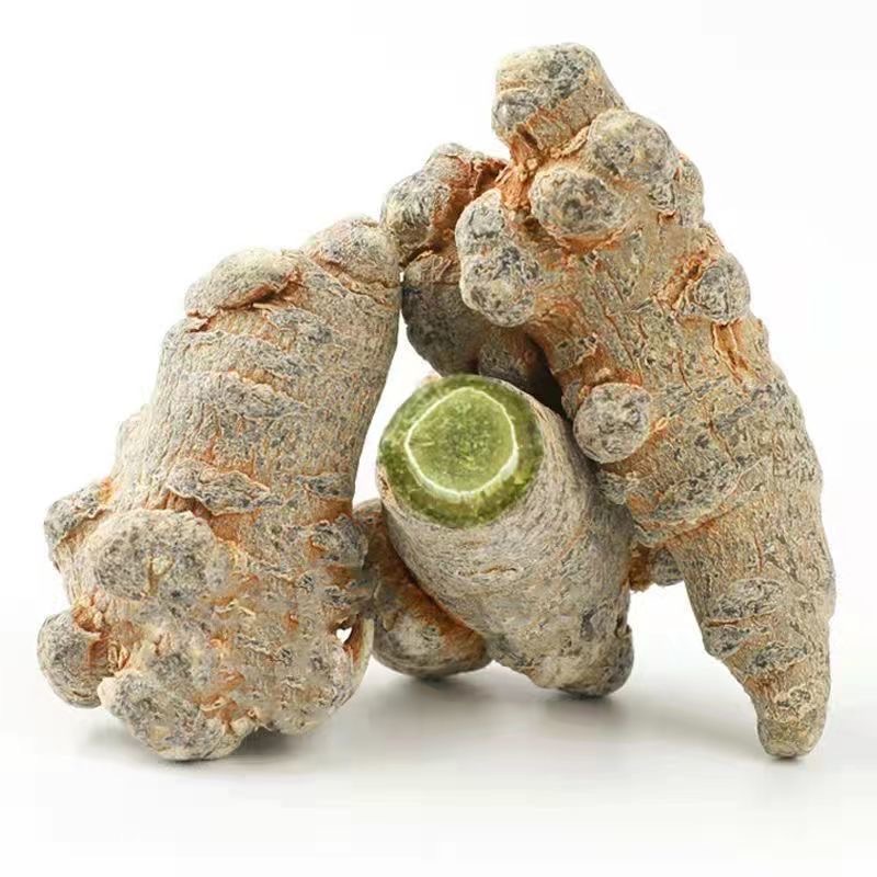 Bulk Natural Dried San Qi Root Panax Notoginseng High Quality Pseudo-ginseng Chinese Herbal Gufeng Brand 2 Year Shelf Life