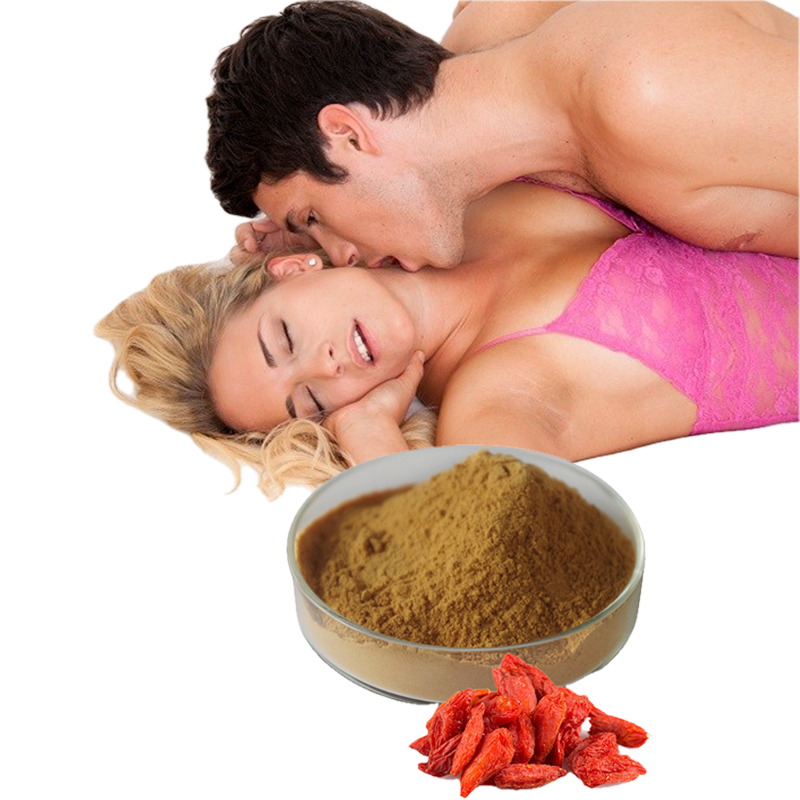Extrait de Baies de Goji Naturel Gufeng Qualit&eacute; Sup&eacute;rieure Haute Qualit&eacute; 50% Polysaccharides Baies de Goji Chinoises 10:1 Extrait de Lycium Extrait