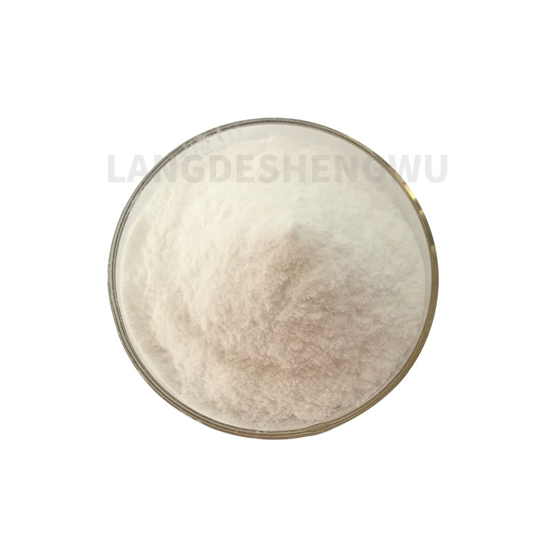 成人牛骨胶原蛋白肽粉速溶粉改善骨密度1kg